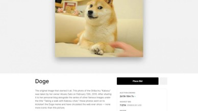 Doge akımı,  NFT ile ölümsüzleştirilecek