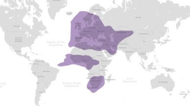 İşte Türksat 5A'nın yayına başlayacağı tarih