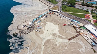 İncelemenin ilk sonuçları açıklandı! İşte müsilaj oluşmasının nedeni