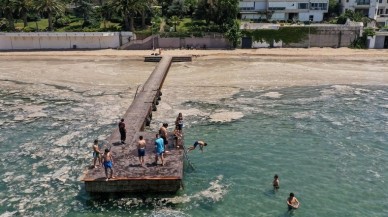 Müsilaj incelemelerinden umut verici haber!