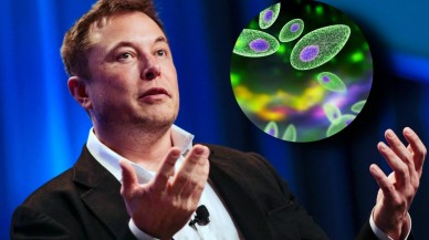 Elon Musk: Toksoplazma paraziti insanlığı yönetecek