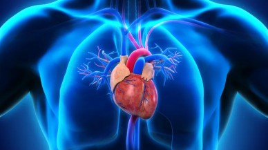 Avrupa İlaç Ajansı'ndan,  mRNA koranavirüs aşılarıyla ilgili açıklama