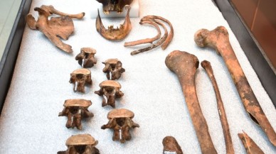 1800'lerden kalma "vampir iskeletin" sırrı çözüldü!