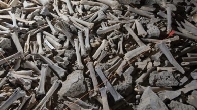 Dev mağarada yüz binlerce kemik bulundu! İnsan kemiği de var...