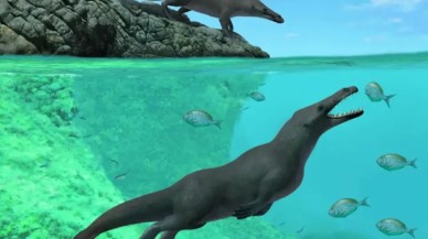 Bilim insanları,  4 ayaklı bir balina fosili keşfetti!