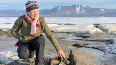 Dünyanın en kuzeyinde yeni bir ada keşfedildi!