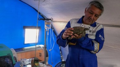 Manavgat'a Türkiye'nin ilk hayvanlara özel sahra hastanesi kuruldu