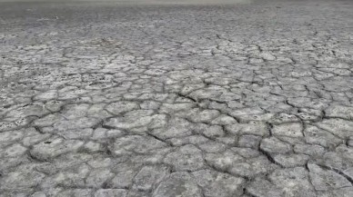 Van Gölü'nde korkutan manzara!