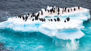 Buzullar eridikçe aşırı soğuklar da artıyor!