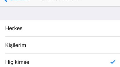 WhatsApp'tan 'son görülme' değişikliği! Yeni güncellemeyle değişiyor...
