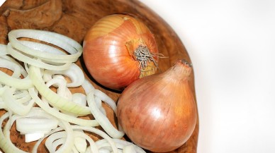 Göz yaşartmayan soğan tartışma konusu oldu!