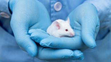 Bilim insanlarından önemli başarı: Yaşlanma etkilerini tersine çevirdiler!