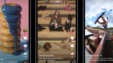 İzlediğiniz TikTok videolarını artık daha rahat bulacaksınız!