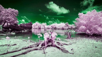 Bu adada yaşayanların yüzde 10'u sadece siyah ve beyaz rengi görebiliyor!