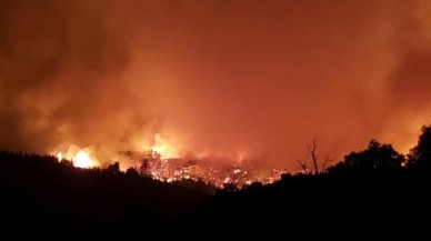 Nesli tükenmekte olan 12 akbabayı öldüren Dolan yangını faili hapse girdi!