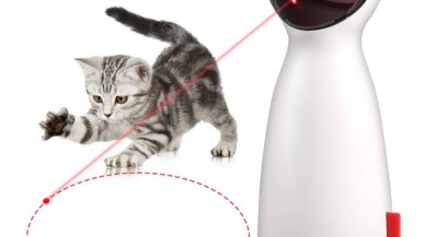 Kediniz oyuncaklarıyla oynamıyor mu? Kedinize hediye alabileceğiniz birbirinden farklı 4 oyuncak