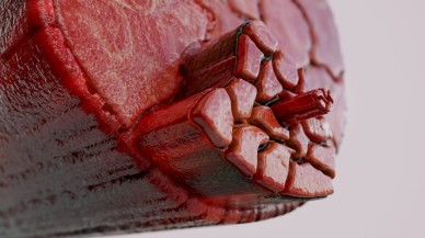 Kas hareketlerini taklit edebilen yeni bir lif türü üretildi!