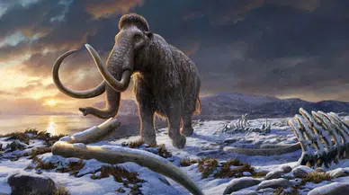 40 Bin Yıllık Gizem Gün Yüzüne Çıktı: Biyolojinin Sınırları Zorlandı