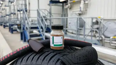 Enerji Krizine "Orman" Formülü: Ağaç Dalları Araba Lastiğine Dönüşüyor