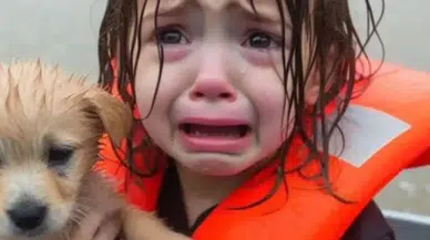 Sosyal Medyada 'AI Slop' Tehlikesi Büyüyor: Gerçek ile Sahteyi Ayırt Etmek Zorlaşıyor