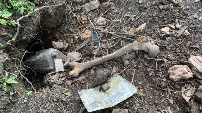 Evin bahçesinde bulunan insan kemiklerinin sorumlusu porsuklar çıktı!