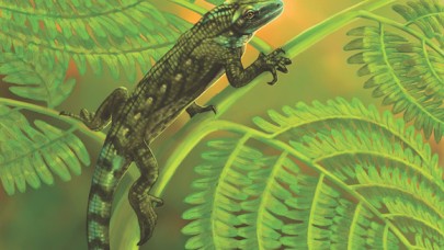 305 milyon yaşındaki bu fosil,  ağaca tırmanan en eski sürüngen!