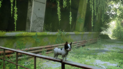 Köpek severler için Stray “köpek” modu geldi!