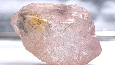 Son 300 yılın en büyük pembe elması keşfedildi!