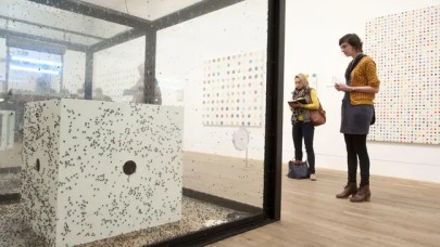 Canlı sinekleri kullanan ünlü sanat eseri,  PETA şikayeti üzerine müzeden kaldırıldı!