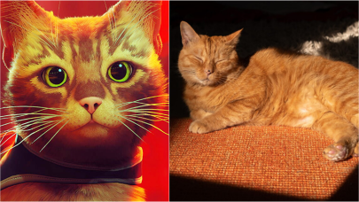 Stray oyununa ilham veren gerçek kedi Murtaugh ile tanışın