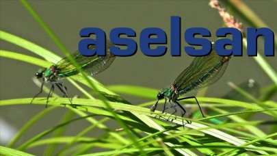 ASELSAN böcek boyutunda İHA'lar üretecek