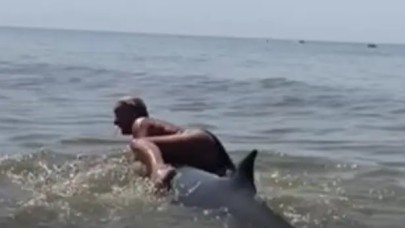 Yunusun sırtına çıkıp yolculuk yapmaya çalıştı! Sosyal medyada linçlendi