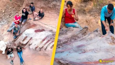 Evinin bahçesinde 24 metrelik dinozor iskeleti keşfetti!