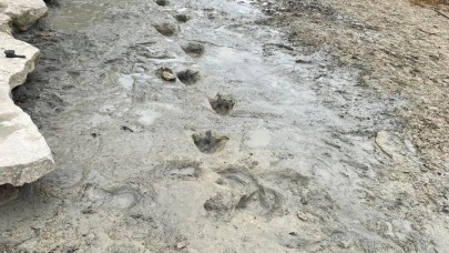 Kuraklık dinozor izlerini ortaya çıkardı!