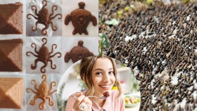 Yetersiz gıda sorununa 3B yazıcı çözümü! Yemeden önce bir kez daha düşünün