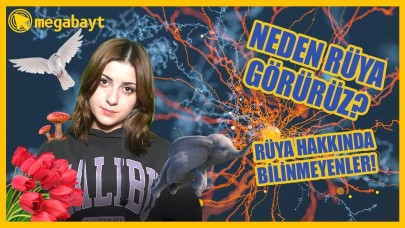 NEDEN RÜYA GÖRÜRÜZ?