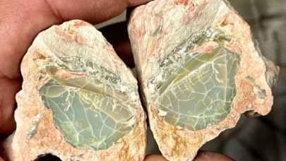 Opalize olmuş fosilleri incelediler!