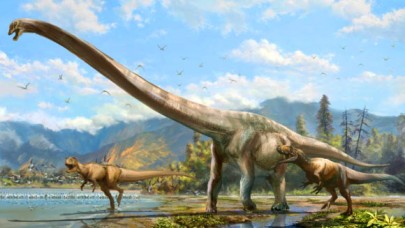 Uzun boyunlu yeni dinozor türleri keşfedildi