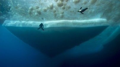 Biyologlar,  dünyanın ilk hayvanları hakkında yeni bulgular edindi!