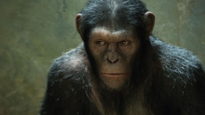 Bilim,  insan evrimine ışık tutabilecek mi? Primat beyinleri incelendi