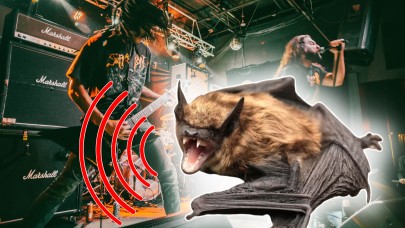 İlginç araştırma: Yarasalar da 'death metal' yapıyor