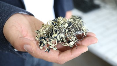 Türk bilim insanından önemli başarı:  Antarktika'da 10 yeni liken türü keşfetti