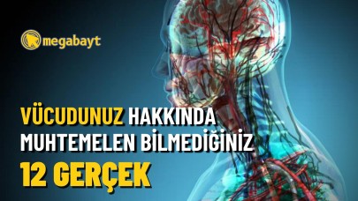 İnsan anatomisi hakkında bilmediğiniz 12 gerçek!