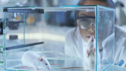 Harvard bilim insanları,  yaşlanmayı tarihe karıştıracak!