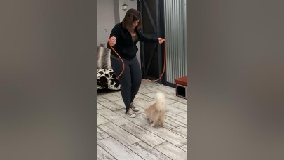 13 yaşındaki kedi,  ip atlama rekoru kırdı!