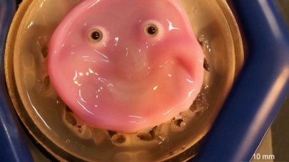 Bu pembe ürkütücü sıvı robotlara deri olacak!
