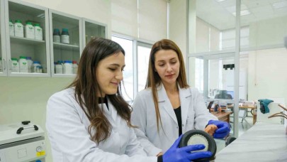 Vazgeçilmez yemeklere bilimsel dokunuş: Patates,  köfte ve pişi için en sağlıklı pişirme yöntemi araştırılacak