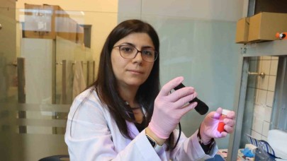 Üzerlik ve sarı kantarondan led ışığı