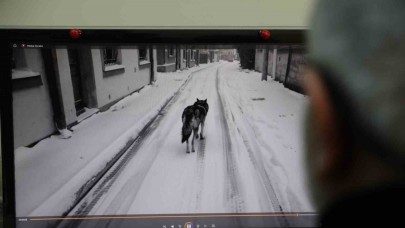 Yapay zekâ teknolojisi 2025’te kaosa neden olabilir