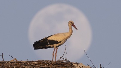 Türkiye'den 'Süper Solucan Ay' manzaraları!